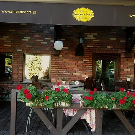 Amadeus Hotel Zielona Gora Экстерьер фото